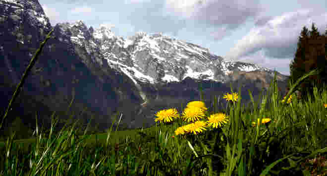 Winter-Frühling