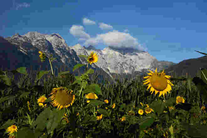 Der Hohe Göll