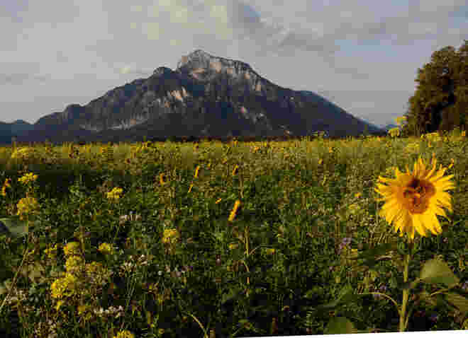 Untersberg