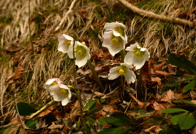 Ein erfreulicher Anblick