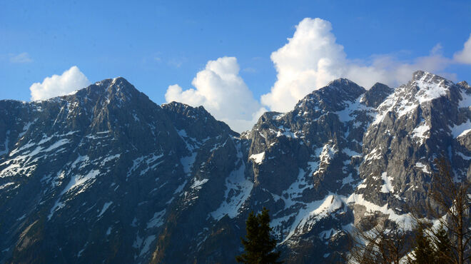 Hocharte am Kuchlerkamm(Göllmassiv)