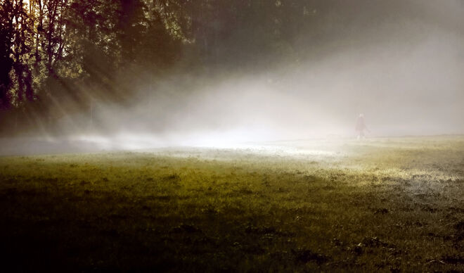 Gassi im Morgennebel