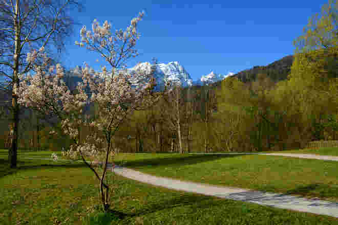 Der Frühling kommt