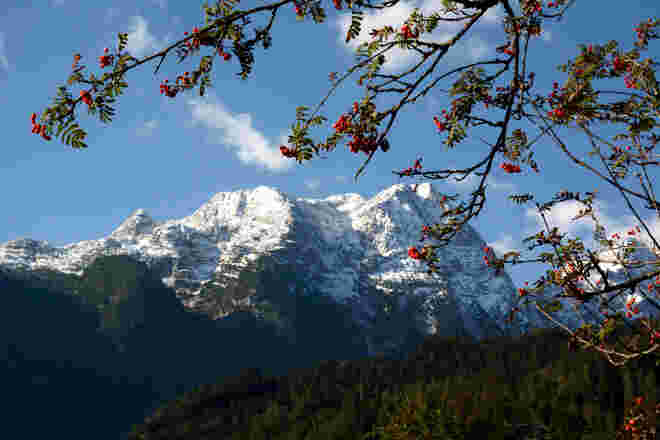 Freieck(Göllmassiv)