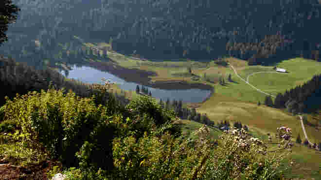 Untersbergblick...