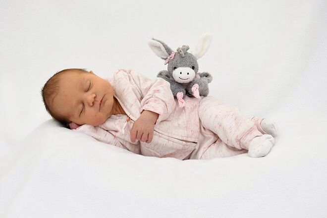 Helena Sophie Vitzthum