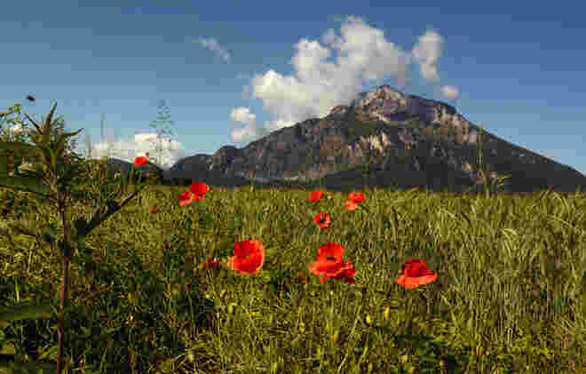 Der Hausberg
