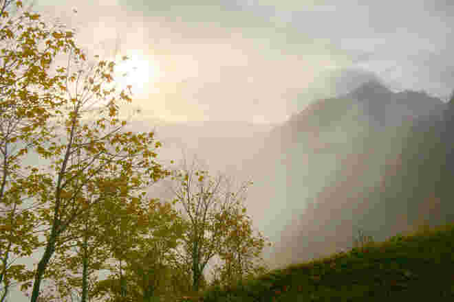 Herbstnebel