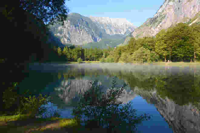 Morgennebel