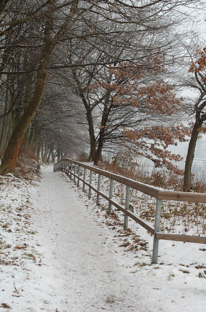 Erster Schnee am Mönchsberg