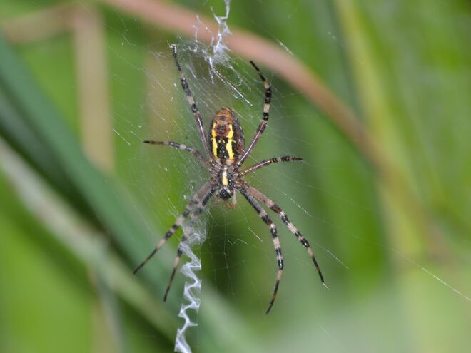 Warten mit viel Geduld