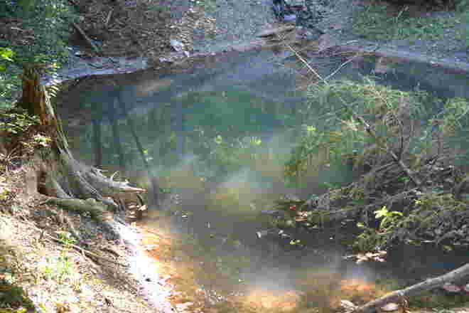 Zauberhafte Lacke