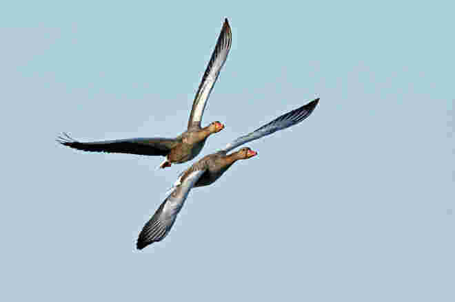 Flugtraining