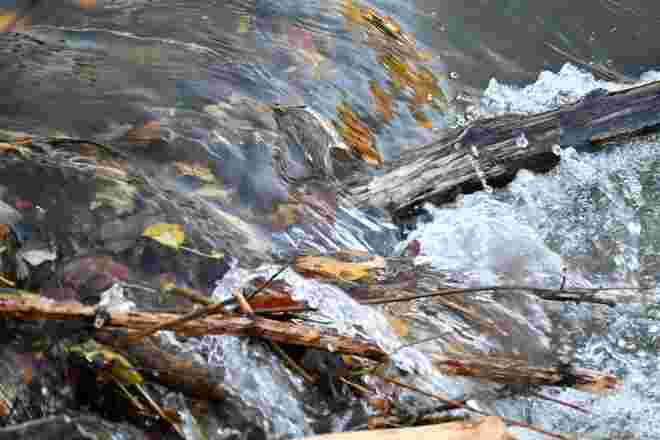 Ein Blick in den Fluss, ein Herbstgemälde