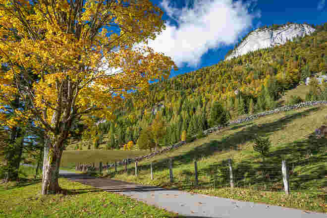 Herbstweg