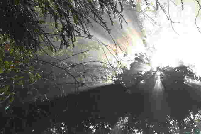 Sonnenstrahlen kommen durch