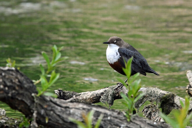 Gefällt euch mein weißer Lidschatten?
