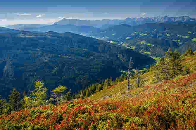 Herbstblick