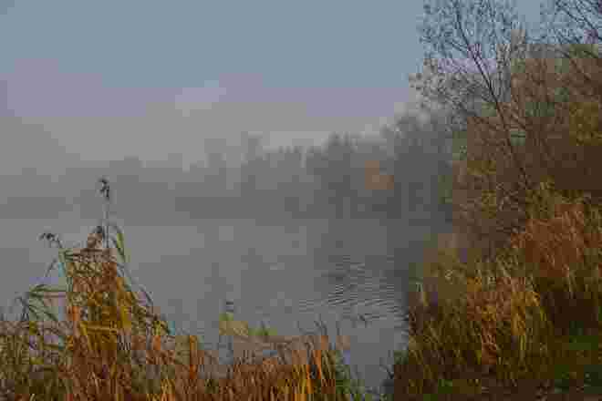 Nebelstimmung am Salzachsee