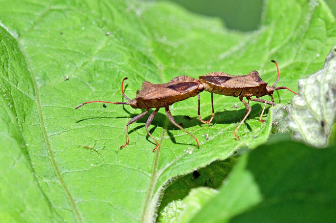 "Max, du hast das Schieben raus ..."