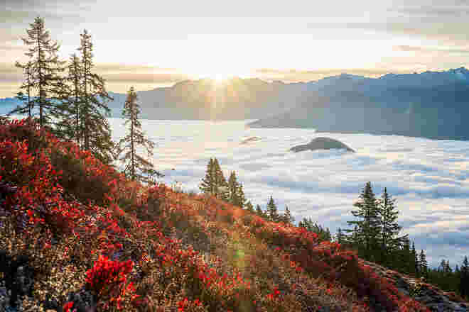 Herbst am Rossbrand