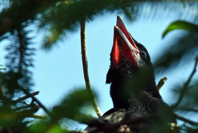 Wo bleibt das Leckerli?