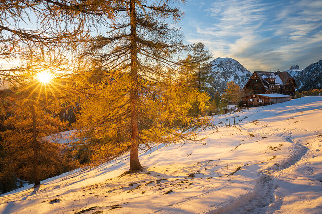 Lärchengold bei der Austriahütte