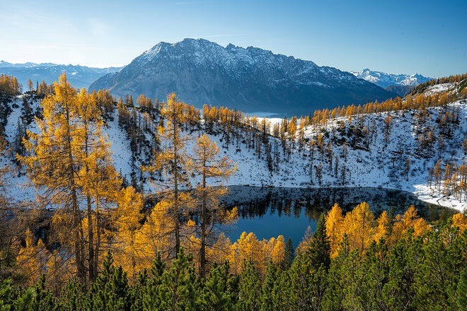 Steirersee im Lärchenbett