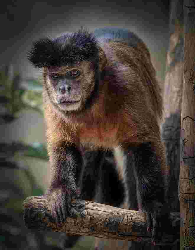 Besuch im Zoo