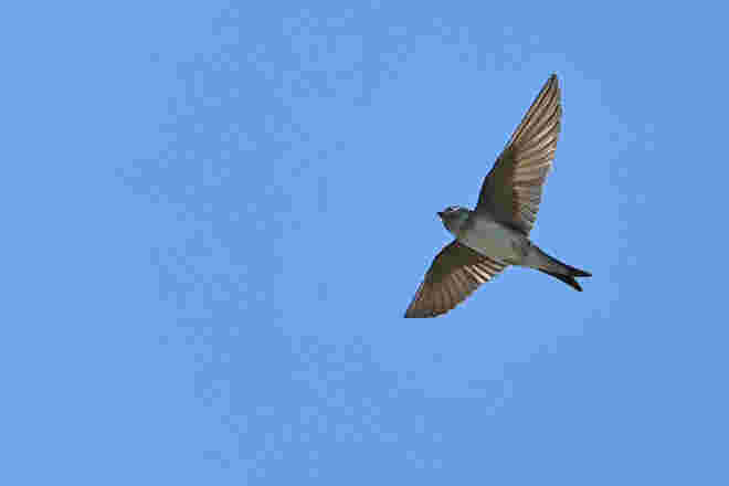 Flugtraining