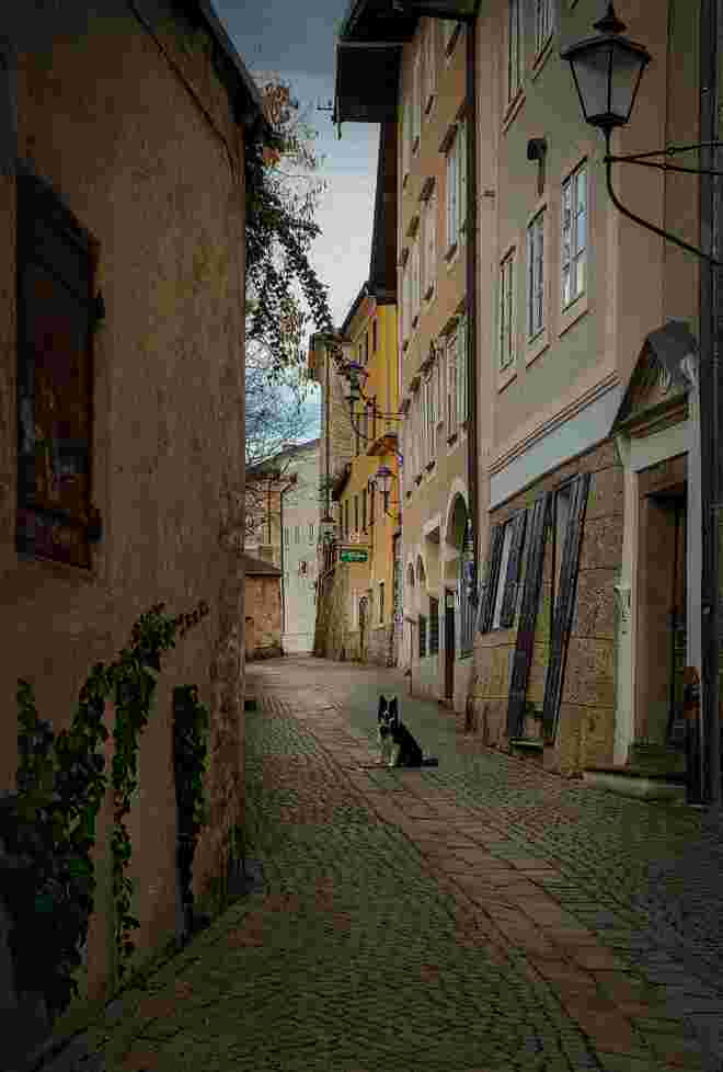 Steingasse