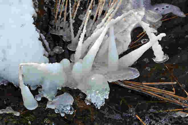 Väterchen Frost als Künstler