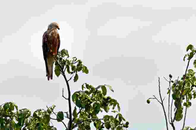 Alles im Blick