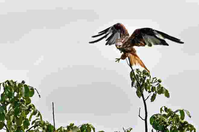Abflug