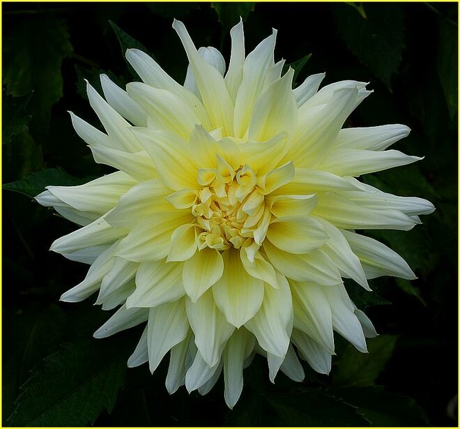 Ich bin noch eine Weile schön