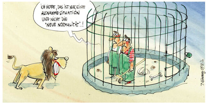 Der Löwe „Corona“ ...