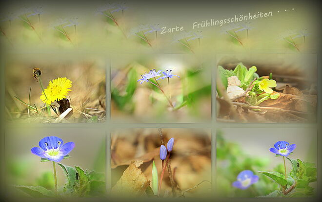 ,,Der Frühling läßt . . . 