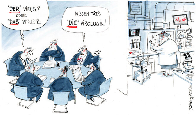 Die Geschlechterfrage ...