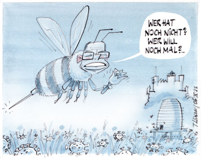 Die Stichfragen . . . 