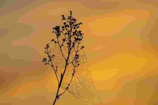 Der Stille lauschen