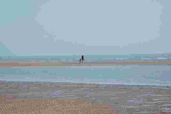auf einer Sandbank