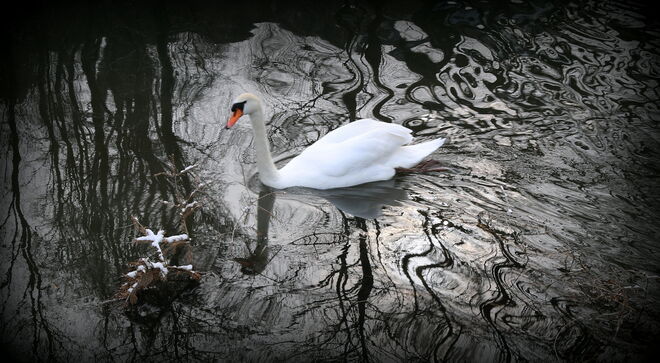 "EIN HAUCH VON SCHNEE"