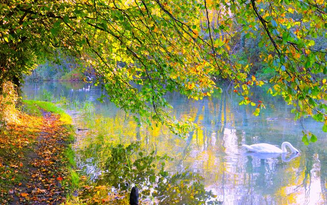 " MALERISCHER HERBSTMORGEN "