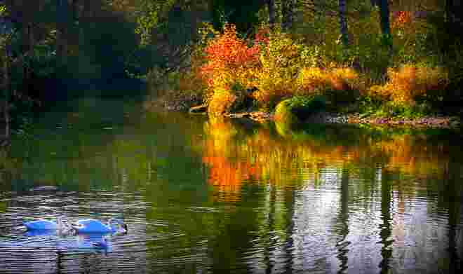 " ENKNACH-HERBST "