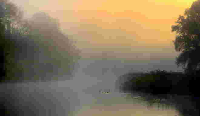 "ENTERL IM MORGENNEBEL"