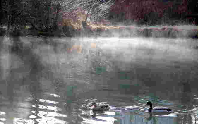 "ENTERL IM MORGENNEBEL"