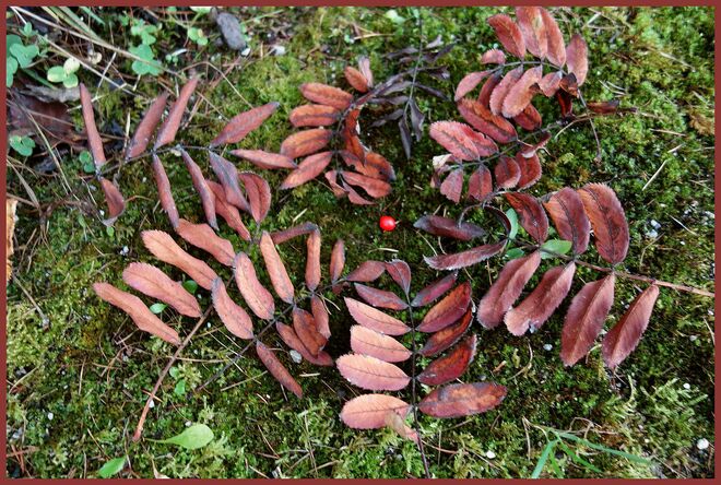 . . . zuerst spielte der Wind . . .