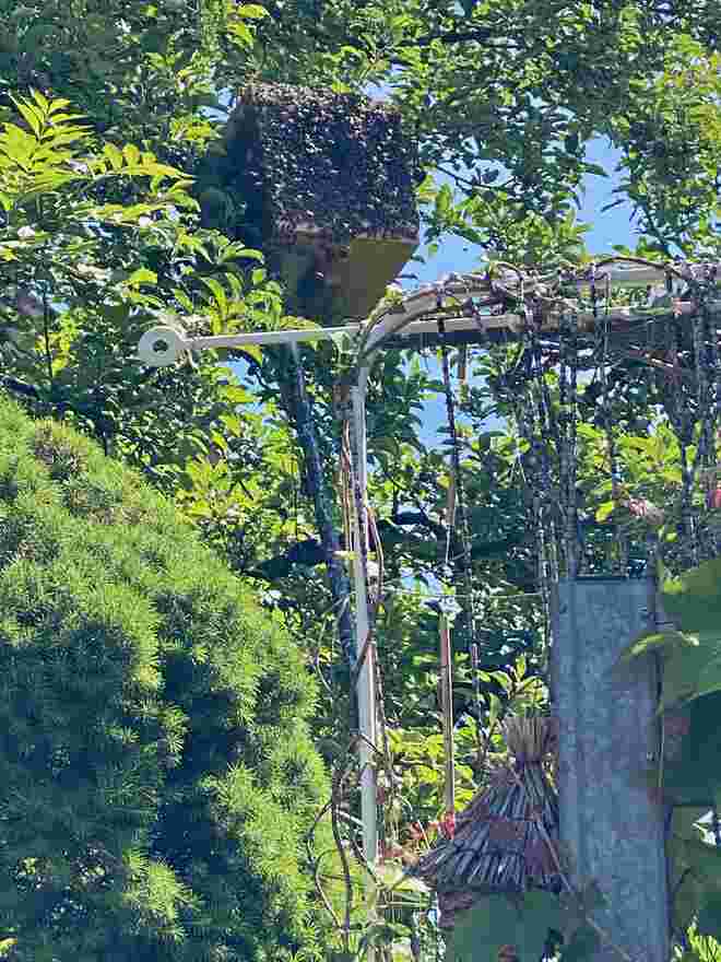 Besuch am Weltbienentag