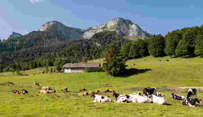 Eisenaualm