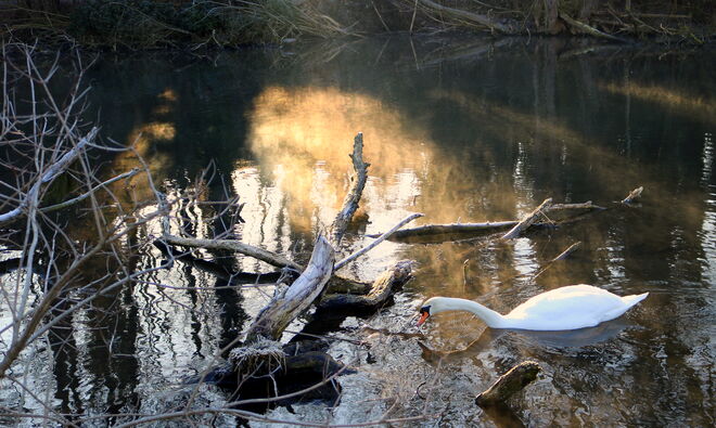 "ENKNACH-ROMANTIK 2"